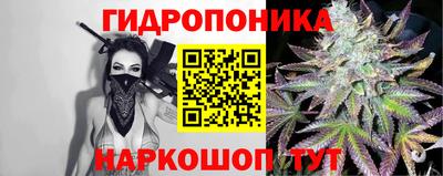 спиды Гусь-Хрустальный