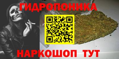твердый Гусев